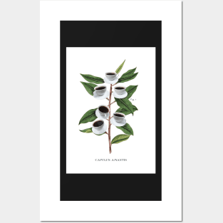 Botanical Coffee Poster, Coffee, Funny Humour, art for Coffee Shop or Kitchen Posters and Art